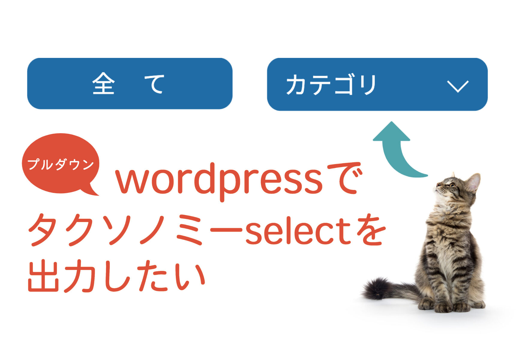 【wordpress】カテゴリー・タクソノミー一覧をselectで表示させて選択リンクさせたい